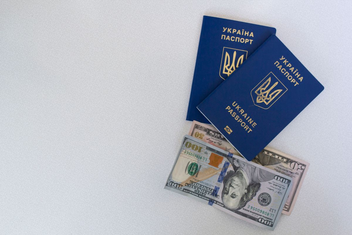 Dokumenty tożsamości i banknoty dolarowe na jasnym blacie